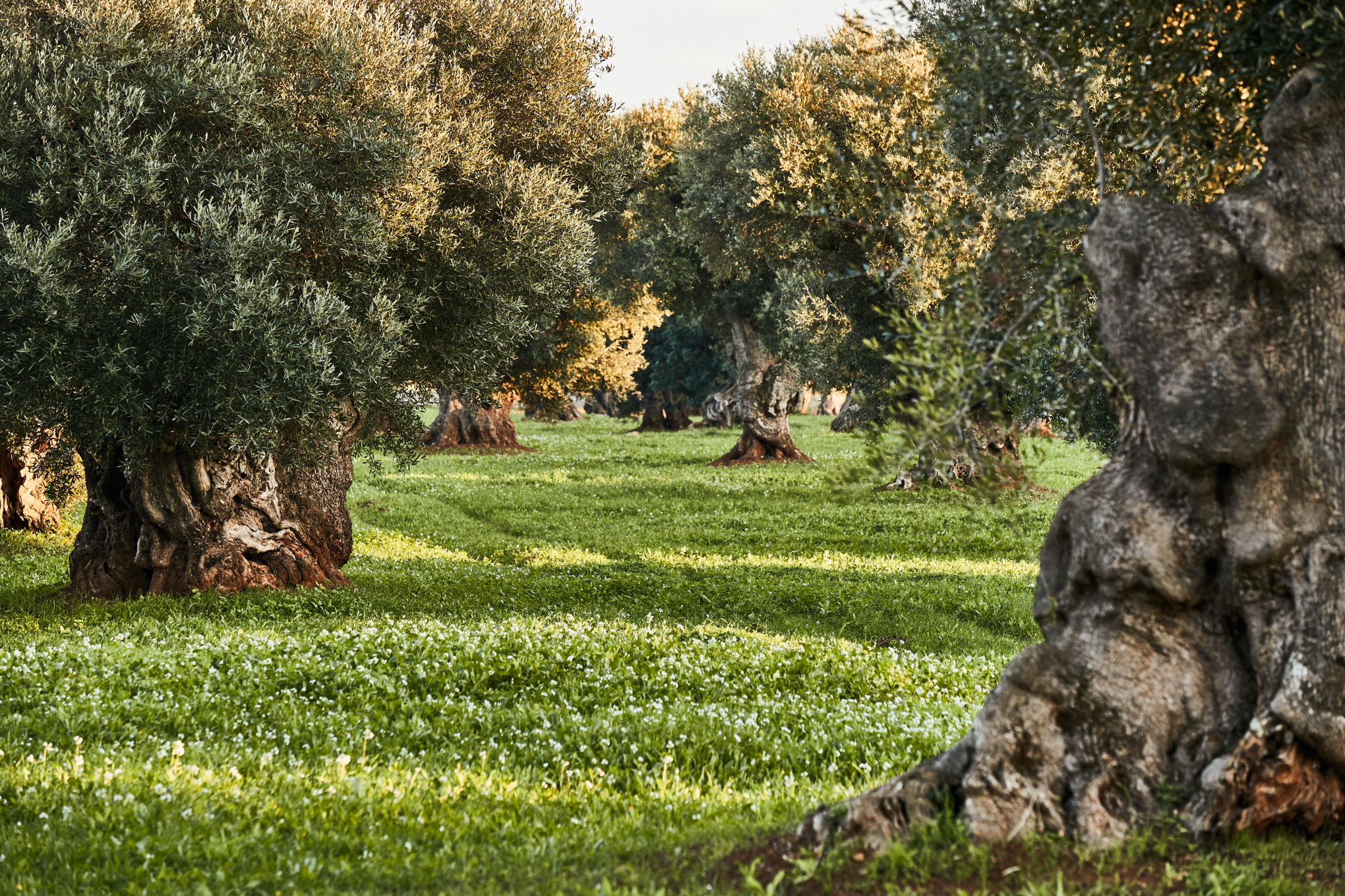 Adatvédelmi irányelvek Szállítók