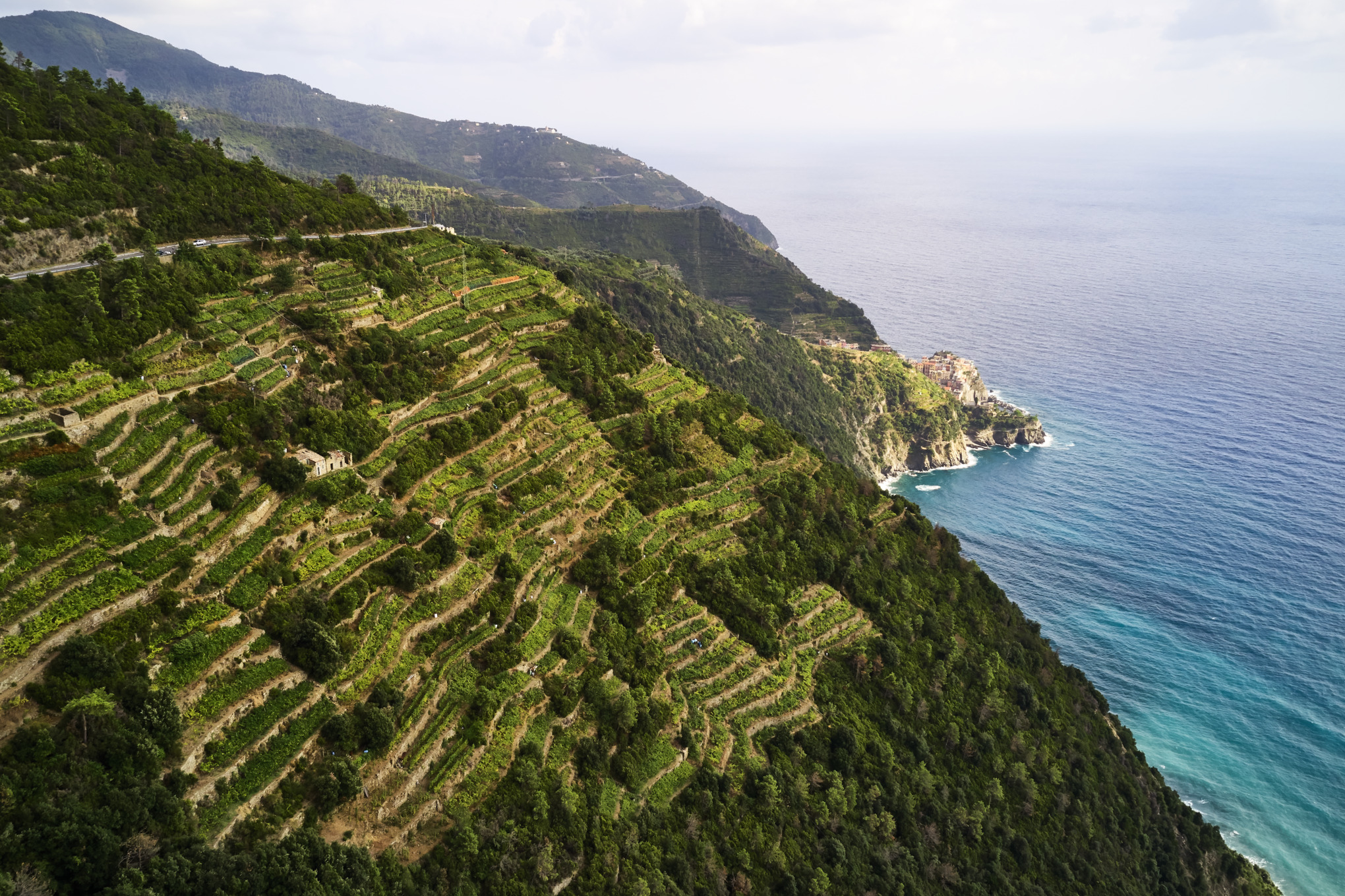 EGY VILÁGMÉRETŰ HÁLÓZAT