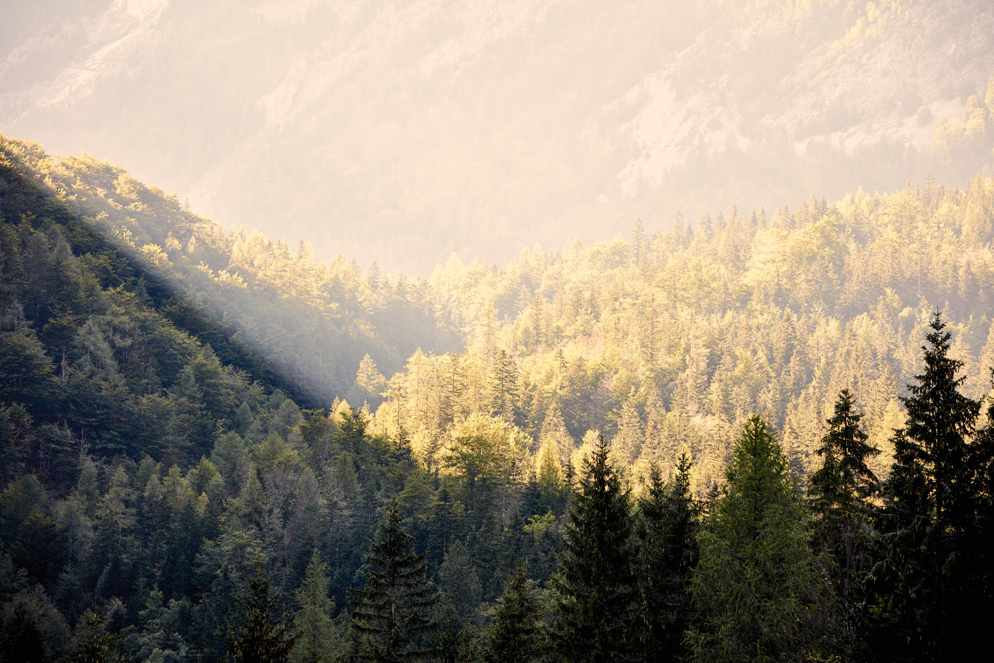 STIHL értékesítési vállalatok világszerte