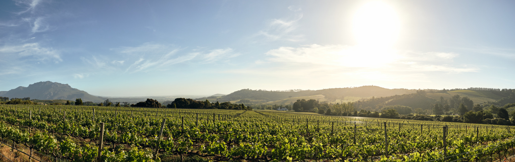 STIHL értékesítési vállalatok Afrikában