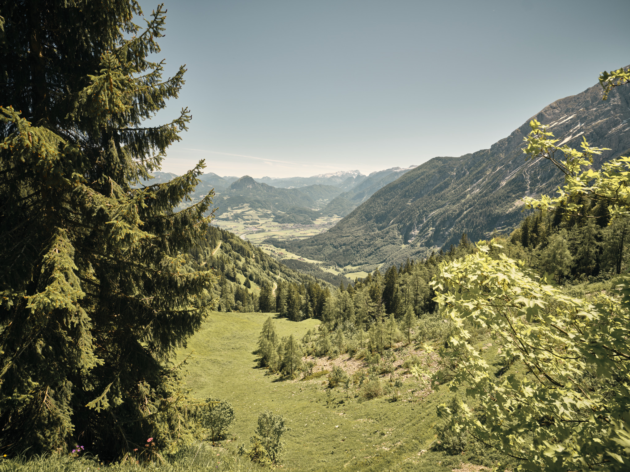 Fenntarthatósági jelentés 2021