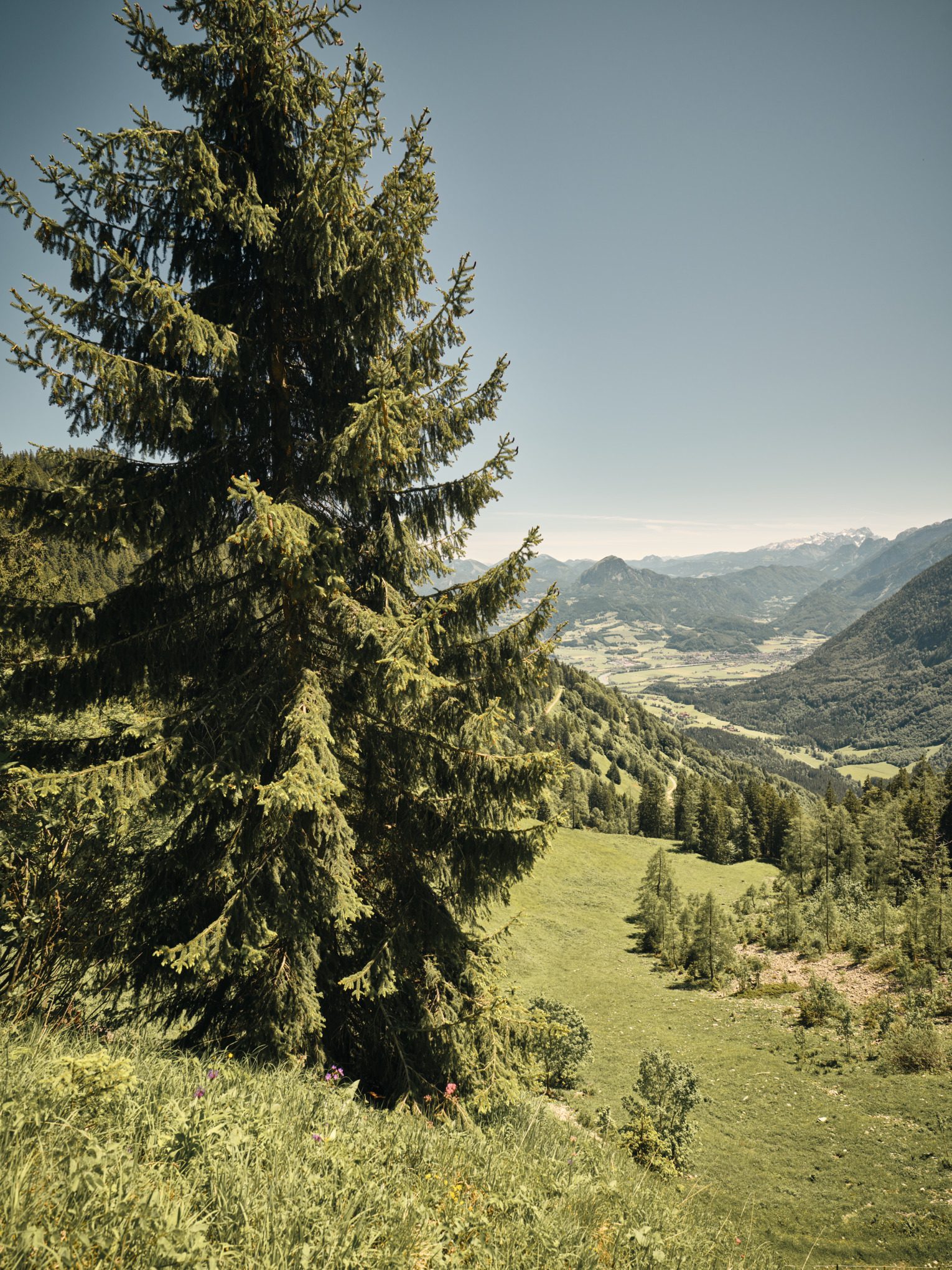 Fenntarthatósági stratégia