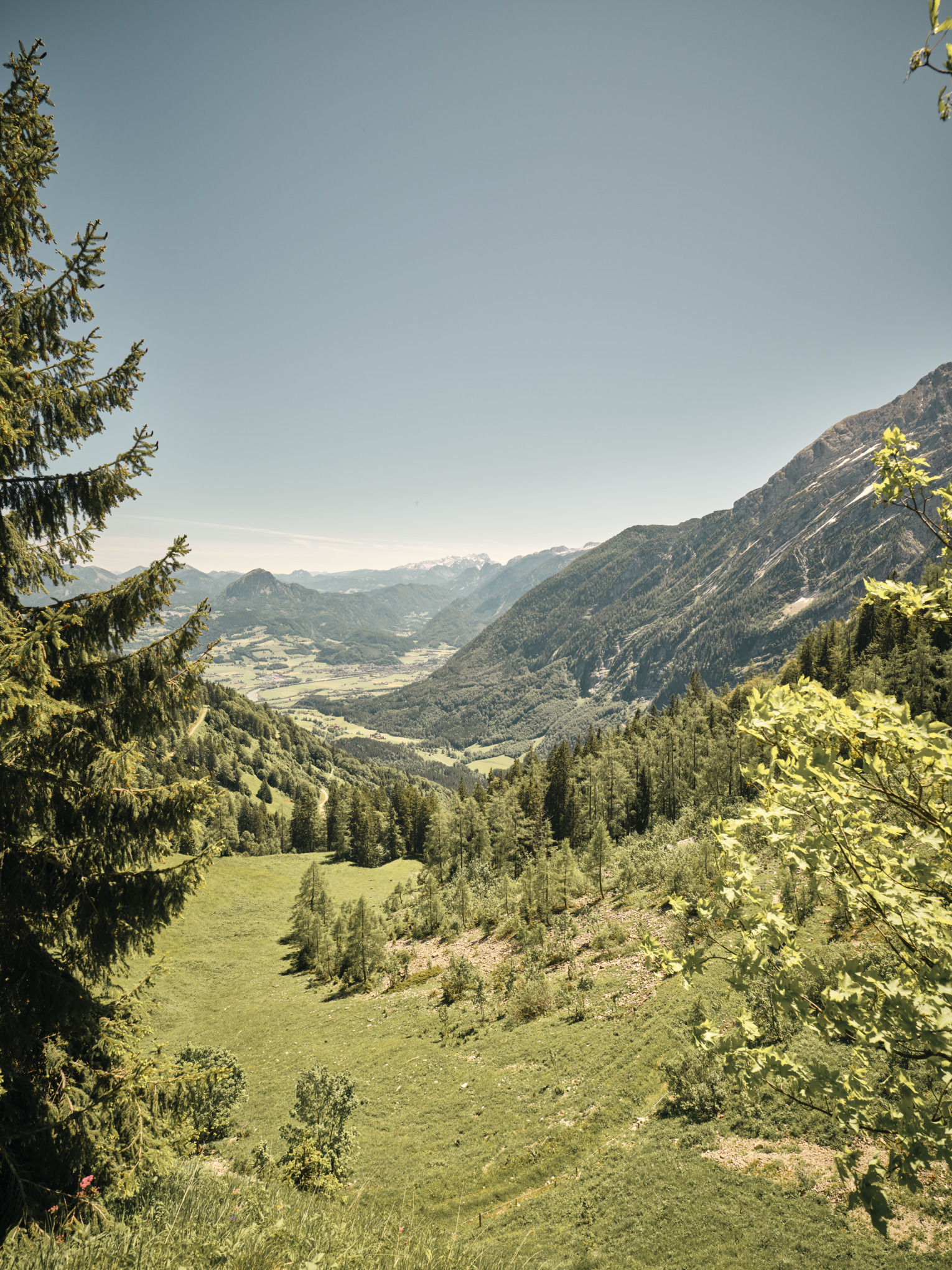 stihl fenntarthatósági jelentés