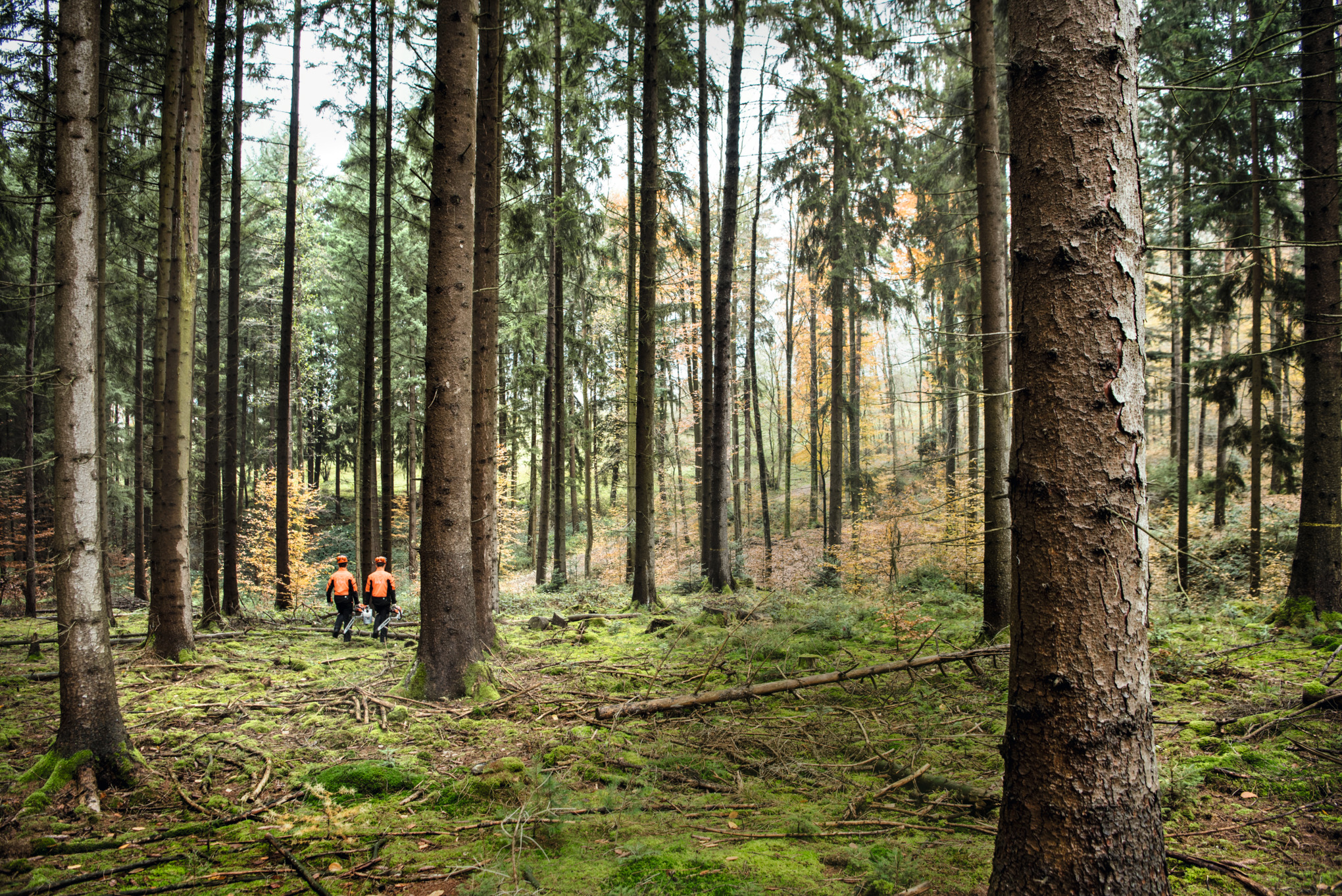 A STIHL mint vállalat