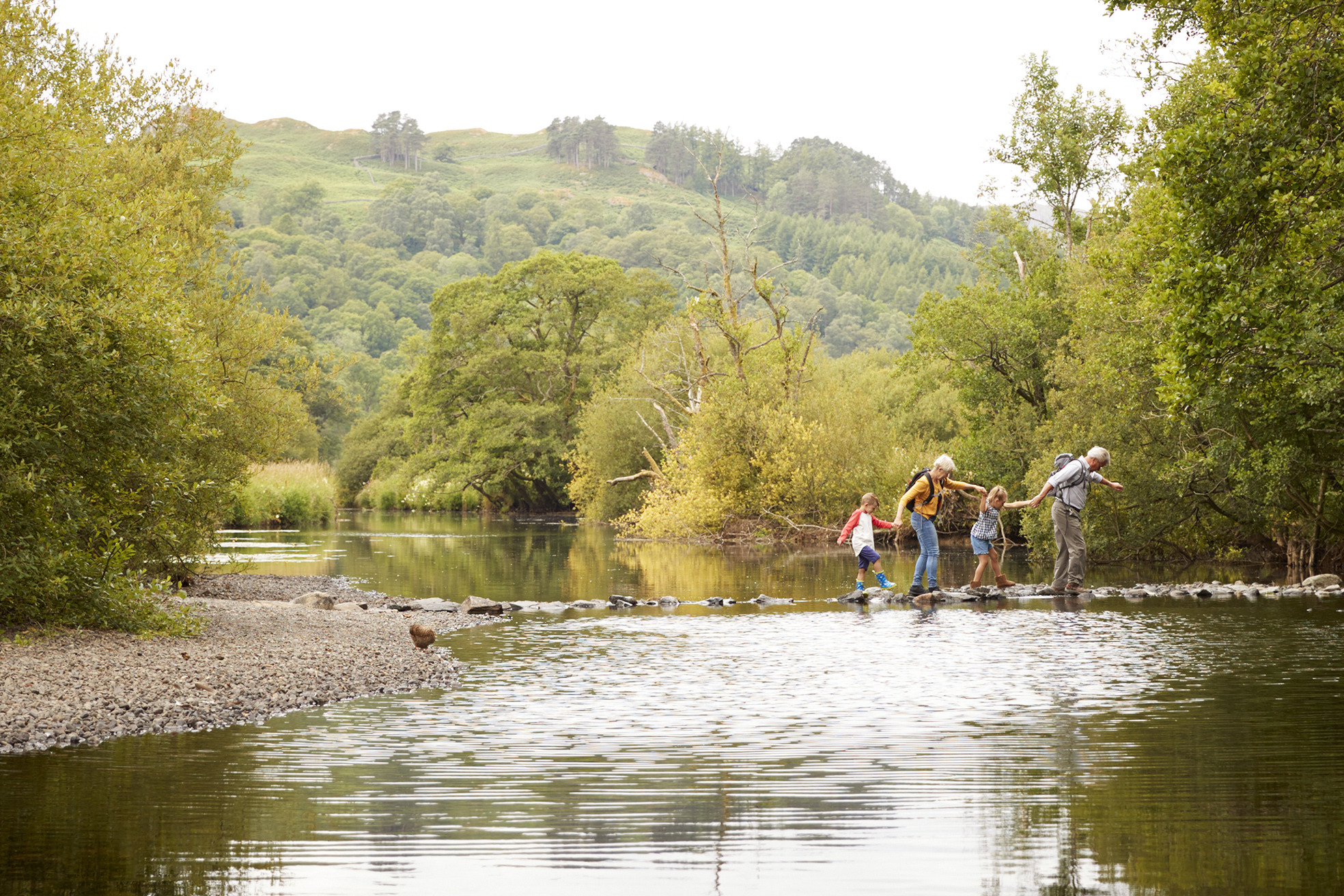 Társadalmi szerepvállalás